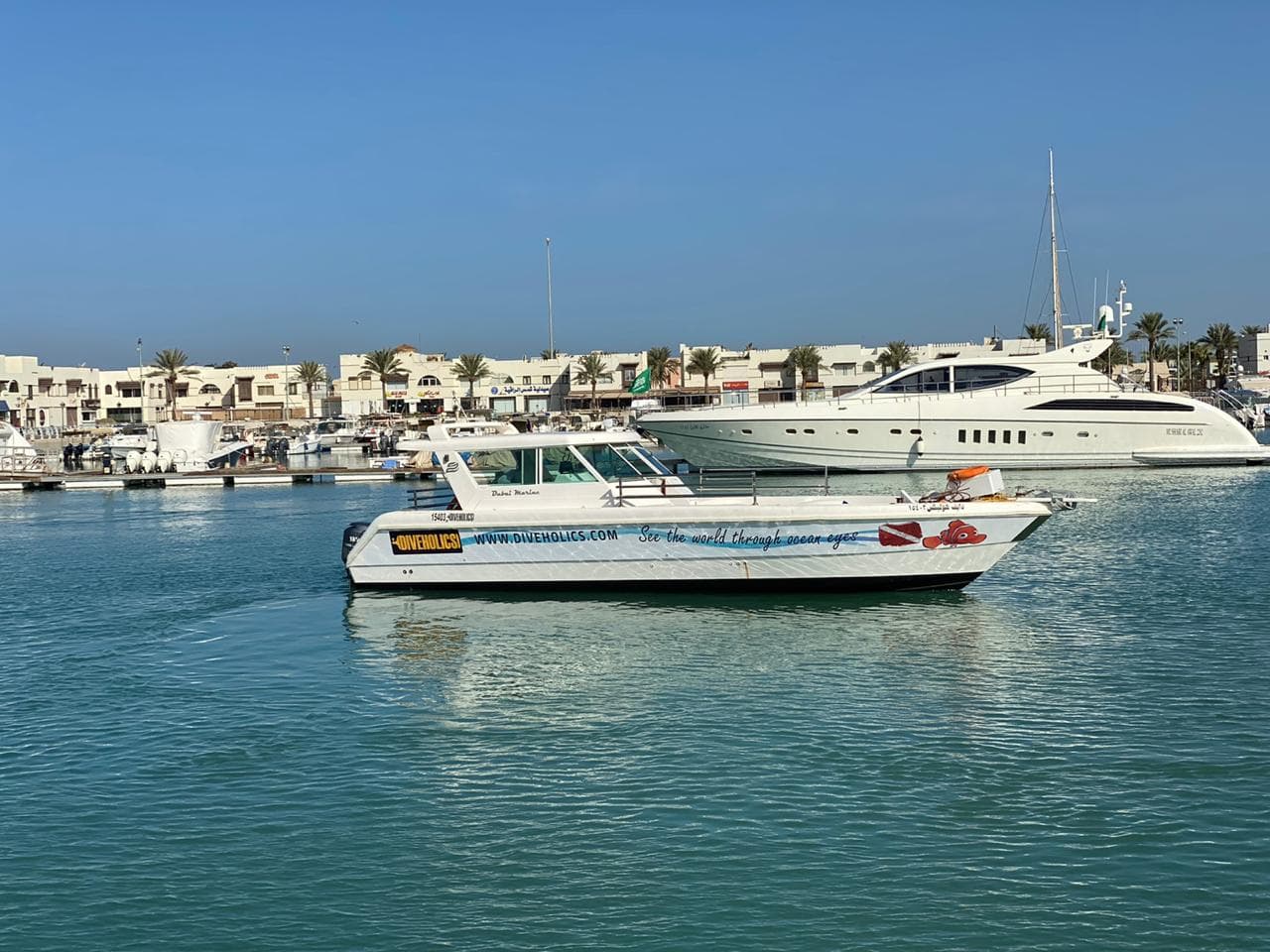 رحلة غوص في البحر الأحمر مع مدرب