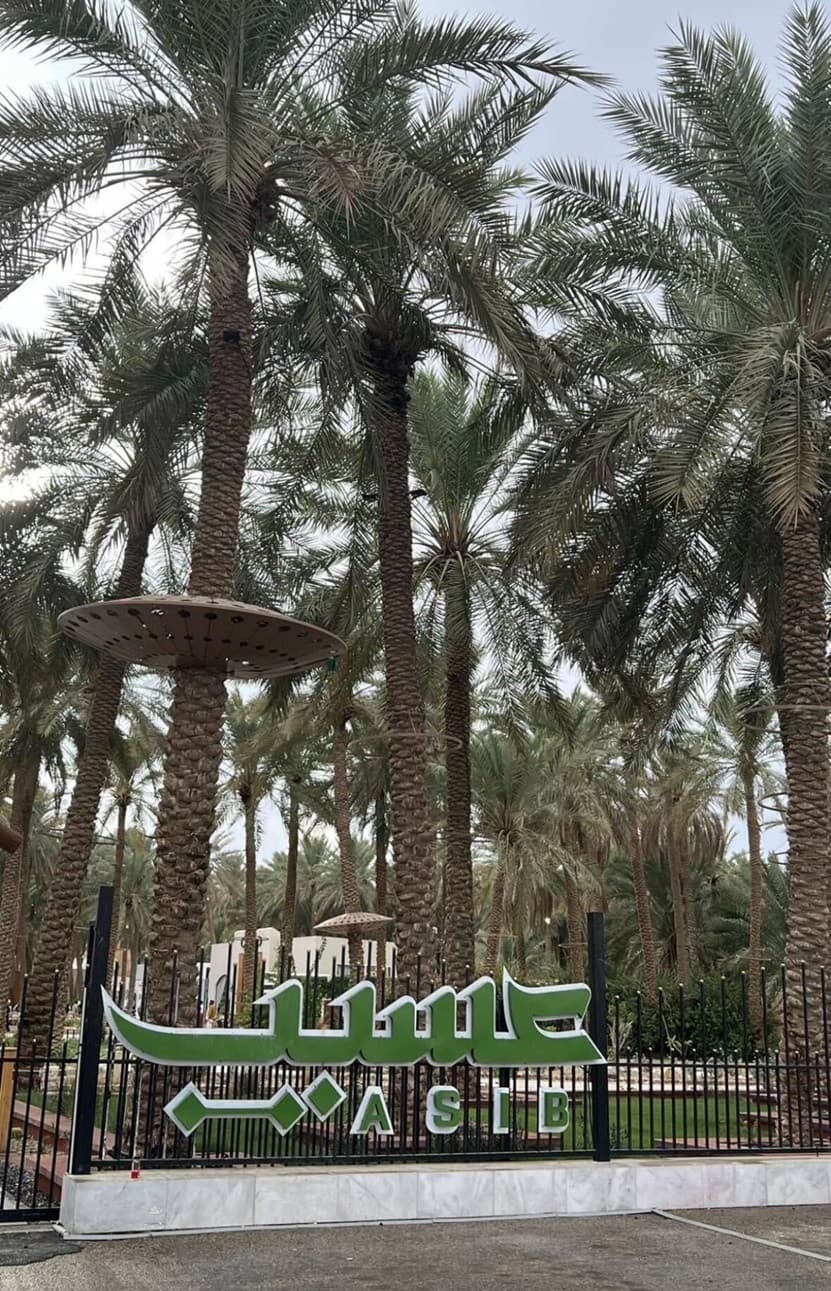 بريدة وعنيزة: جادة عسيب ومتحف العقيلات 🌴