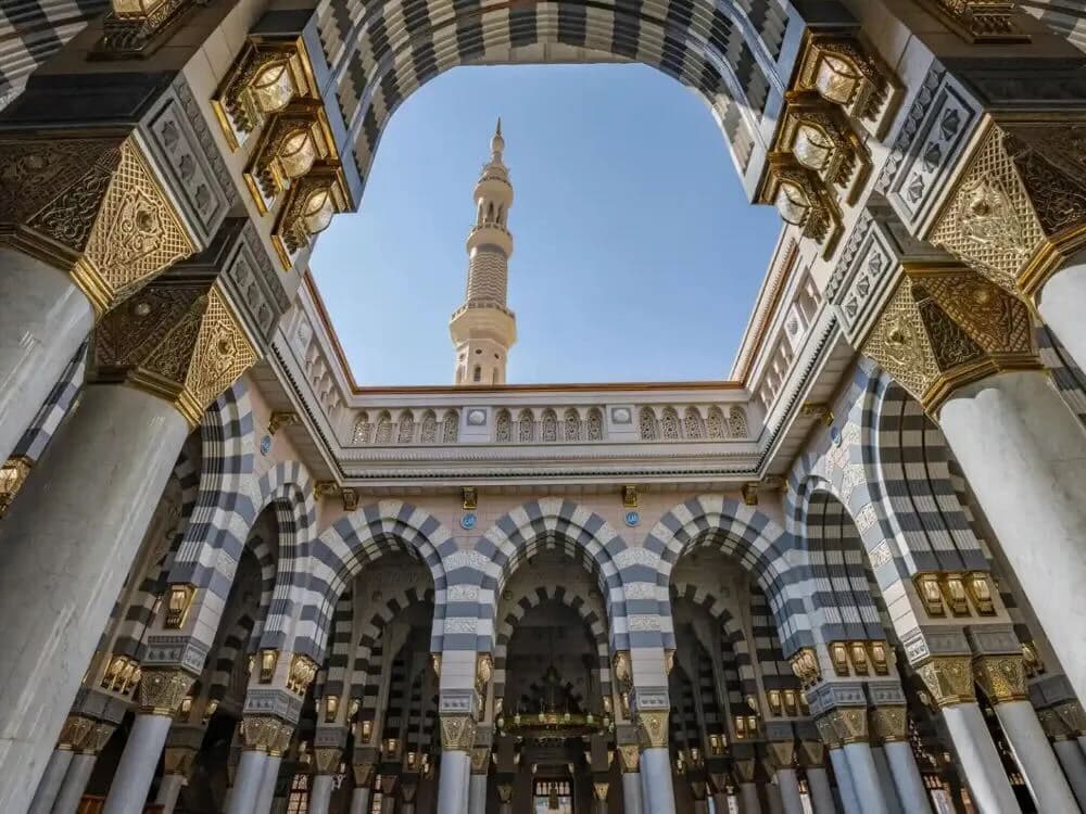 باقة استشفائية في المدينه المنوره ليلتين