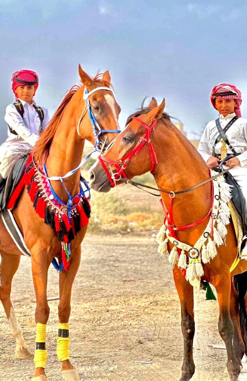 تجربة ركوب الخيل في مركز فال العز للفروسية
