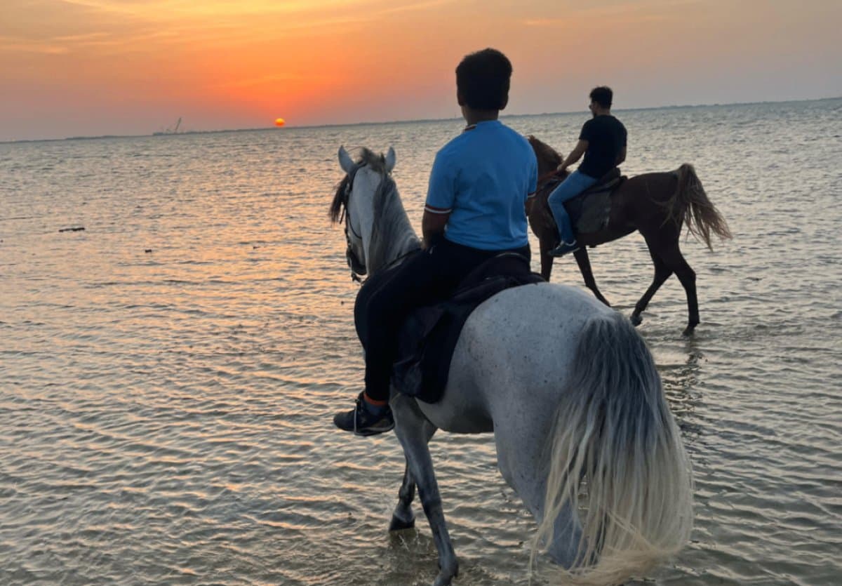 ركوب الخيل في الخبر 