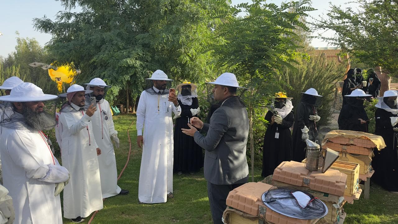 الباحة: أسرار النحل والعسل في السياحة النحلية 