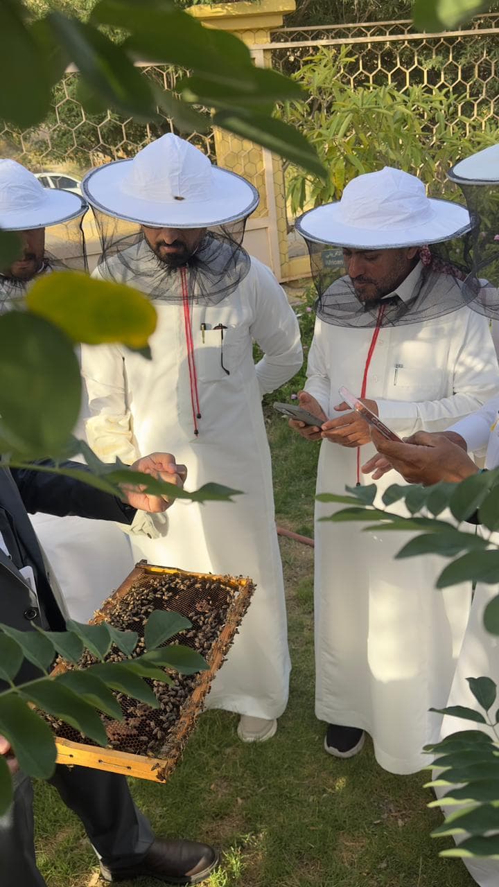 الباحة: أسرار النحل والعسل في السياحة النحلية 