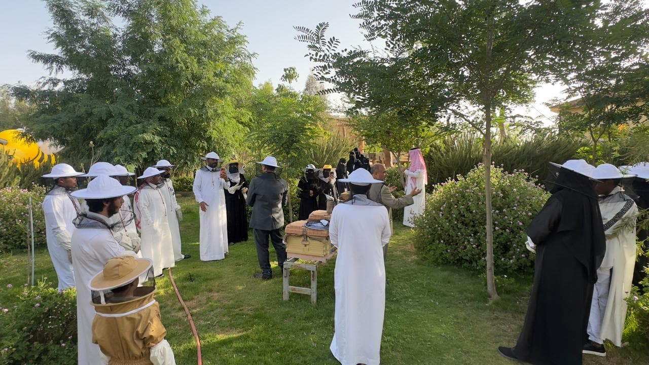 الباحة: أسرار النحل والعسل في السياحة النحلية 